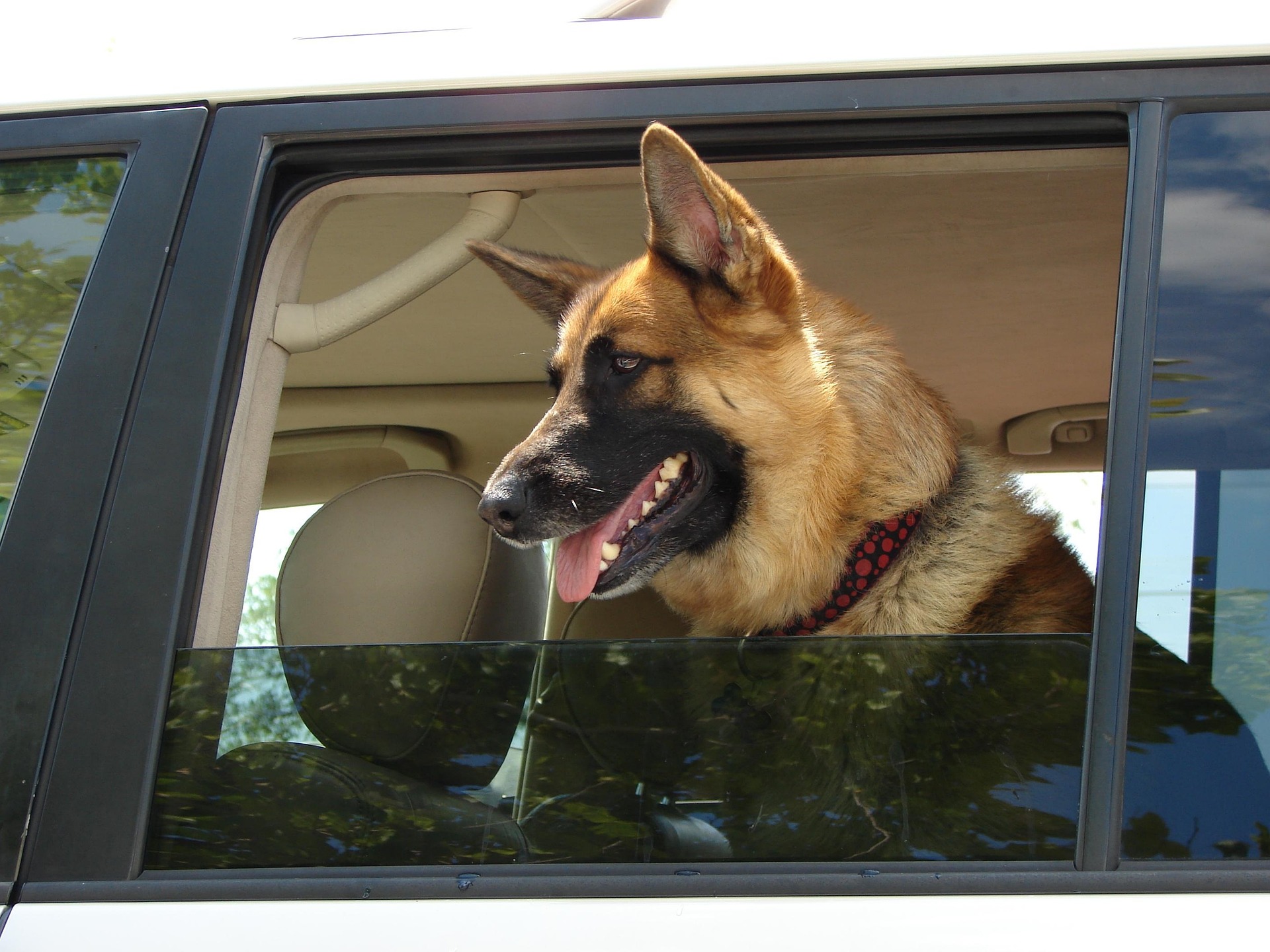This article is for general informational purposes only and does not constitute legal advice. Reading it does not create an attorney-client relationship. Laws change, and the application of the law depends on the specific facts of your case. If you are facing DUI charges, consult a licensed Washington attorney promptly.